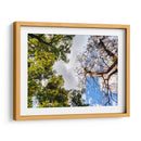 Dualidad II - Bernardo Miranda | Cuadro decorativo de Canvas Lab