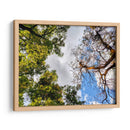 Dualidad II - Bernardo Miranda | Cuadro decorativo de Canvas Lab