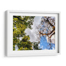 Dualidad II - Bernardo Miranda | Cuadro decorativo de Canvas Lab