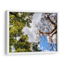 Dualidad II - Bernardo Miranda | Cuadro decorativo de Canvas Lab