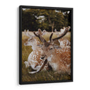 Venados descansando | Cuadro decorativo de Canvas Lab