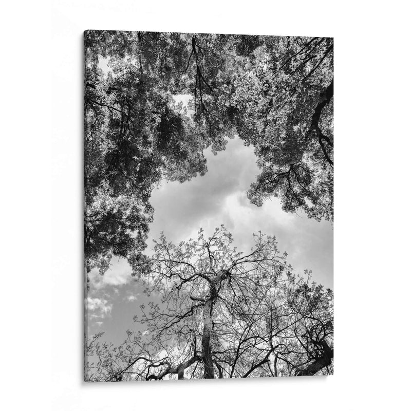 Dualidad y Cielo, Blanco y Negro - Bernardo Miranda | Cuadro decorativo de Canvas Lab