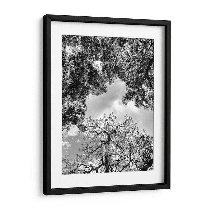 Dualidad y Cielo, Blanco y Negro - Bernardo Miranda | Cuadro decorativo de Canvas Lab