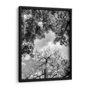 Dualidad y Cielo, Blanco y Negro - Bernardo Miranda | Cuadro decorativo de Canvas Lab