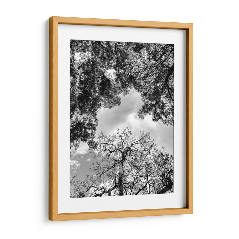 Dualidad y Cielo, Blanco y Negro - Bernardo Miranda | Cuadro decorativo de Canvas Lab