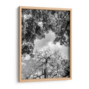 Dualidad y Cielo, Blanco y Negro - Bernardo Miranda | Cuadro decorativo de Canvas Lab