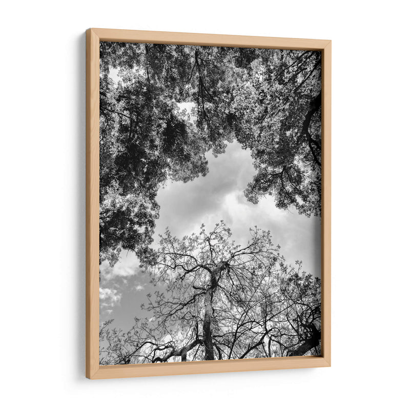 Dualidad y Cielo, Blanco y Negro - Bernardo Miranda | Cuadro decorativo de Canvas Lab