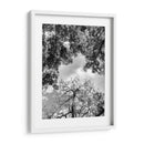 Dualidad y Cielo, Blanco y Negro - Bernardo Miranda | Cuadro decorativo de Canvas Lab