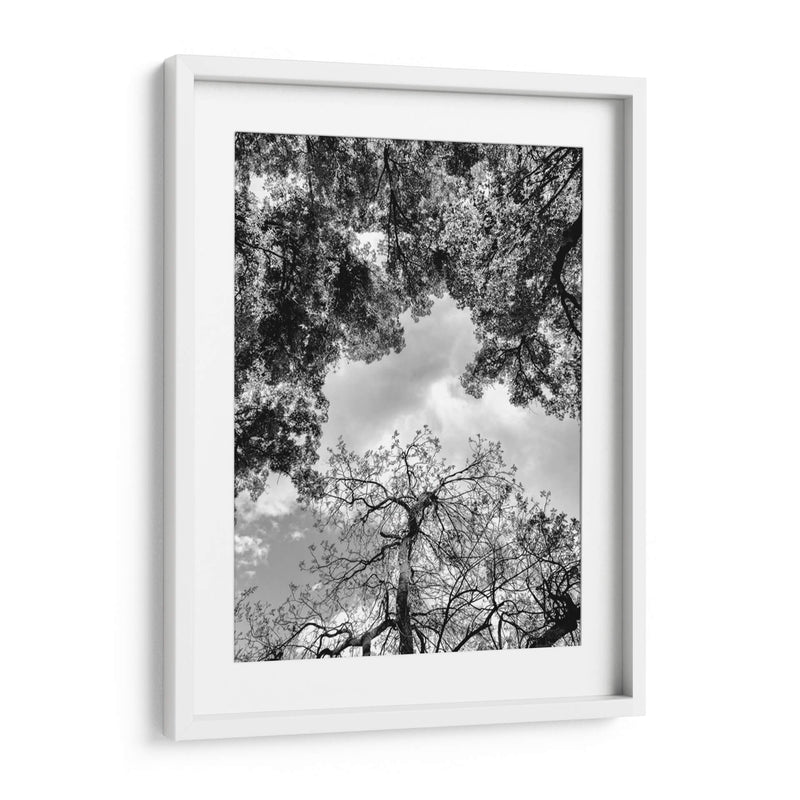 Dualidad y Cielo, Blanco y Negro - Bernardo Miranda | Cuadro decorativo de Canvas Lab