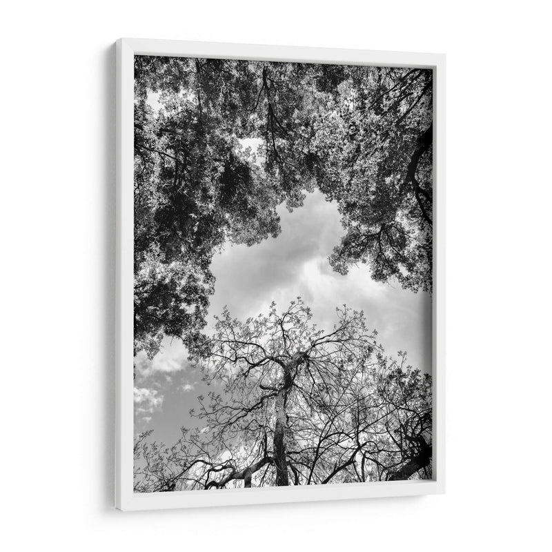 Dualidad y Cielo, Blanco y Negro - Bernardo Miranda | Cuadro decorativo de Canvas Lab