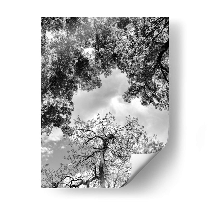 Dualidad y Cielo, Blanco y Negro - Bernardo Miranda | Cuadro decorativo de Canvas Lab