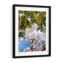 Dualidad y Cielo - Bernardo Miranda | Cuadro decorativo de Canvas Lab