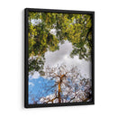 Dualidad y Cielo - Bernardo Miranda | Cuadro decorativo de Canvas Lab