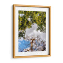 Dualidad y Cielo - Bernardo Miranda | Cuadro decorativo de Canvas Lab