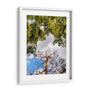 Dualidad y Cielo - Bernardo Miranda | Cuadro decorativo de Canvas Lab