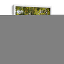 Dualidad y Cielo - Bernardo Miranda | Cuadro decorativo de Canvas Lab