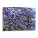 Flores Violetas - Bernardo Miranda | Cuadro decorativo de Canvas Lab