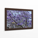 Flores Violetas - Bernardo Miranda | Cuadro decorativo de Canvas Lab