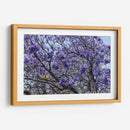 Flores Violetas - Bernardo Miranda | Cuadro decorativo de Canvas Lab