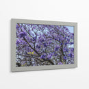 Flores Violetas - Bernardo Miranda | Cuadro decorativo de Canvas Lab