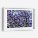 Flores Violetas - Bernardo Miranda | Cuadro decorativo de Canvas Lab