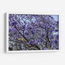 Flores Violetas - Bernardo Miranda | Cuadro decorativo de Canvas Lab