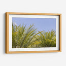 Palmas al Sol - Bernardo Miranda | Cuadro decorativo de Canvas Lab