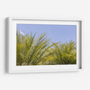 Palmas al Sol - Bernardo Miranda | Cuadro decorativo de Canvas Lab