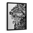 Ramales II, Blanco y Negro - Bernardo Miranda | Cuadro decorativo de Canvas Lab