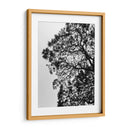 Ramales II, Blanco y Negro - Bernardo Miranda | Cuadro decorativo de Canvas Lab