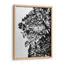 Ramales II, Blanco y Negro - Bernardo Miranda | Cuadro decorativo de Canvas Lab