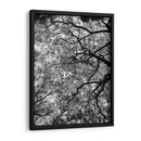 Ramas Floreciendo, Blanco y Negro - Bernardo Miranda | Cuadro decorativo de Canvas Lab