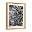 Ramas Floreciendo, Blanco y Negro - Bernardo Miranda | Cuadro decorativo de Canvas Lab