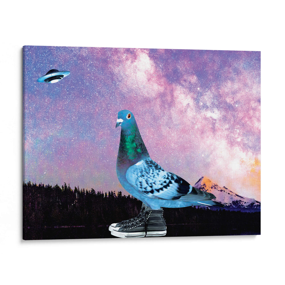 Pichón con tenis - Homo Cosmicam | Cuadro decorativo de Canvas Lab