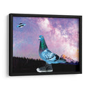 Pichón con tenis - Homo Cosmicam | Cuadro decorativo de Canvas Lab