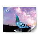 Pichón con tenis - Homo Cosmicam | Cuadro decorativo de Canvas Lab