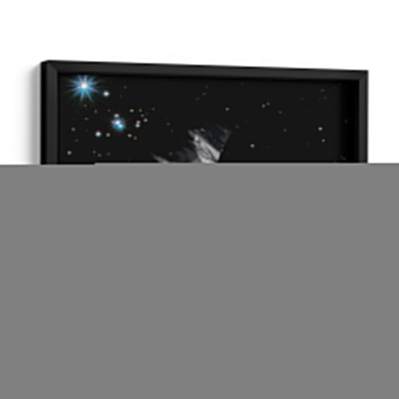 Luna - Homo Cosmicam | Cuadro decorativo de Canvas Lab