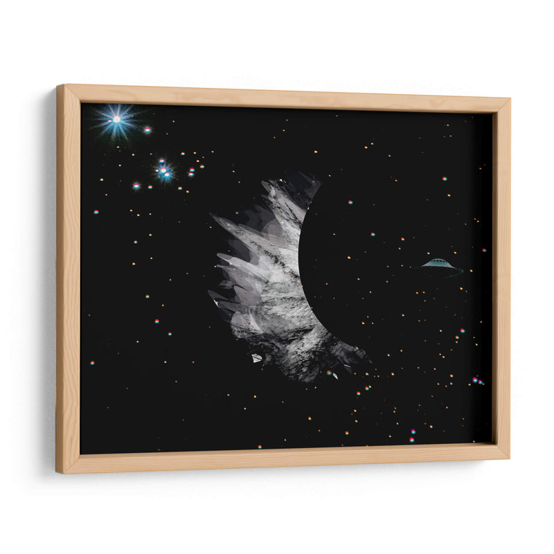 Luna - Homo Cosmicam | Cuadro decorativo de Canvas Lab