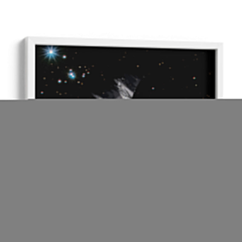 Luna - Homo Cosmicam | Cuadro decorativo de Canvas Lab