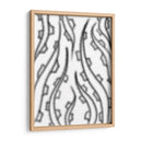 Tentáculos - Torco | Cuadro decorativo de Canvas Lab