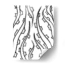 Tentáculos - Torco | Cuadro decorativo de Canvas Lab