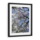 Ramas Floreciendo - Bernardo Miranda | Cuadro decorativo de Canvas Lab