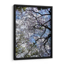 Ramas Floreciendo - Bernardo Miranda | Cuadro decorativo de Canvas Lab