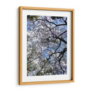 Ramas Floreciendo - Bernardo Miranda | Cuadro decorativo de Canvas Lab