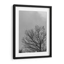 Ramas I, Blanco y Negro - Bernardo Miranda | Cuadro decorativo de Canvas Lab