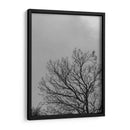 Ramas I, Blanco y Negro - Bernardo Miranda | Cuadro decorativo de Canvas Lab