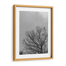 Ramas I, Blanco y Negro - Bernardo Miranda | Cuadro decorativo de Canvas Lab