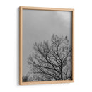 Ramas I, Blanco y Negro - Bernardo Miranda | Cuadro decorativo de Canvas Lab
