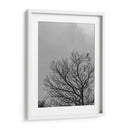 Ramas I, Blanco y Negro - Bernardo Miranda | Cuadro decorativo de Canvas Lab