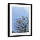 Ramas I - Bernardo Miranda | Cuadro decorativo de Canvas Lab